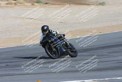 media/Feb-04-2024-SoCal Trackdays (Sun) [[91d6515b1d]]/4-Bowl Backside (11am)/